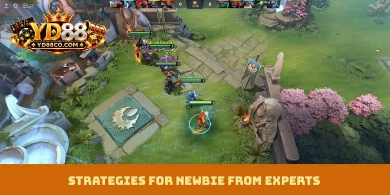 Strategies for newbie from experts