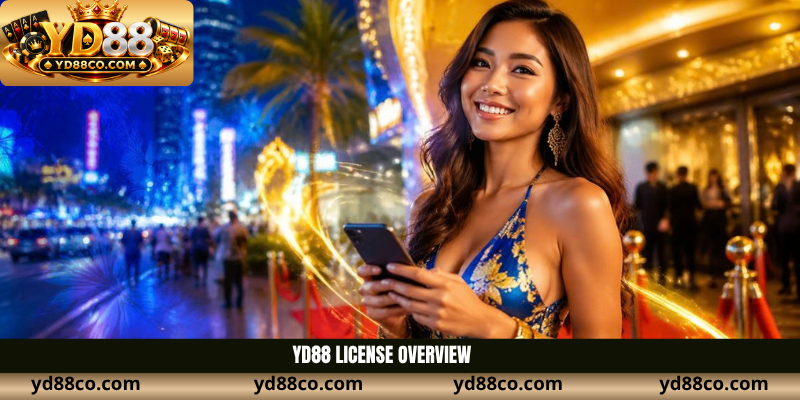 YD88 license overview