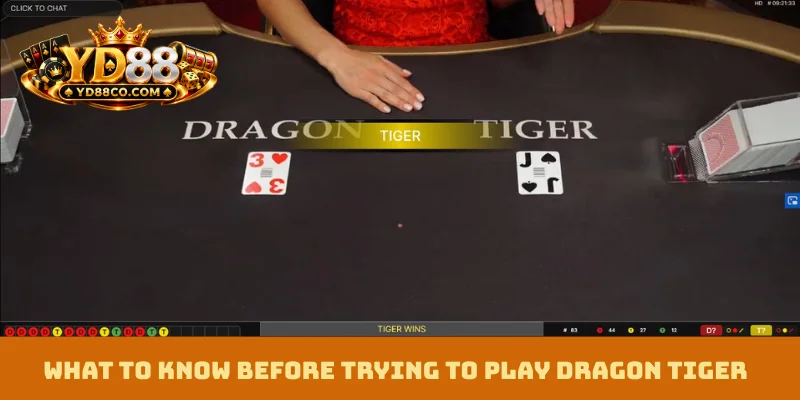 What to know before trying to Play Dragon Tiger