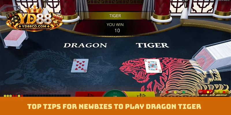 Top tips for newbies to Play Dragon Tiger