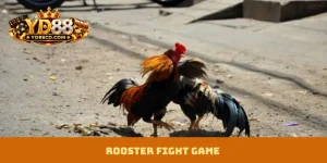 Rooster Fight Game