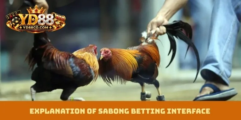 Explanation of sabong betting interface