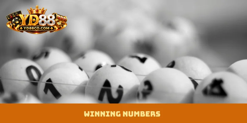 Winning Numbers